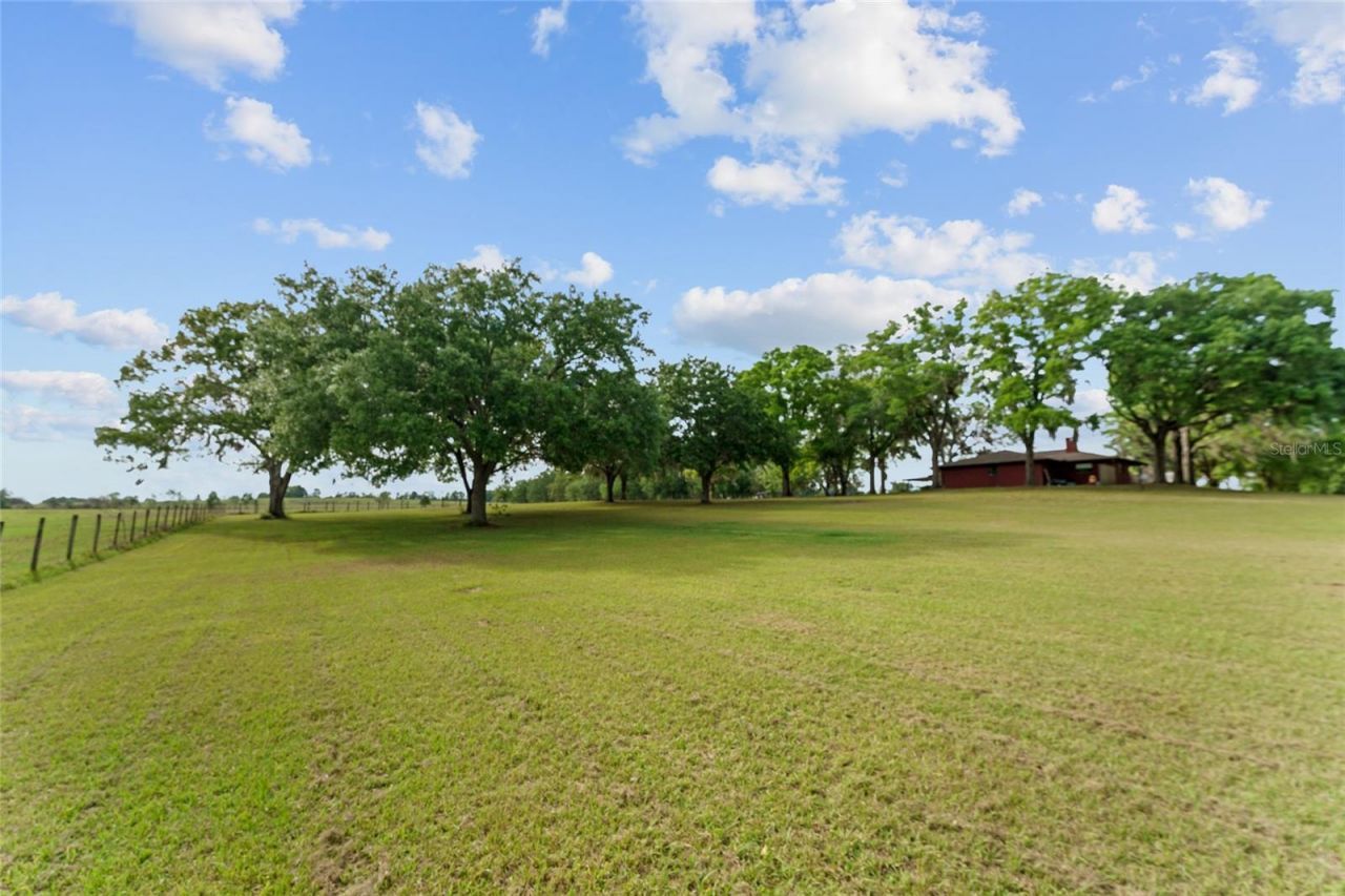 3149 SW 200th Avenue, Dunnellon, FL 34431 Photo