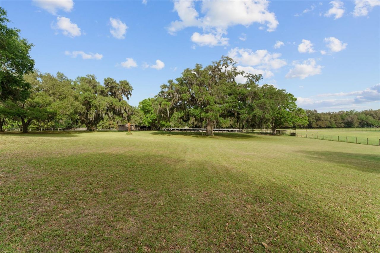 3149 SW 200th Avenue, Dunnellon, FL 34431 Photo