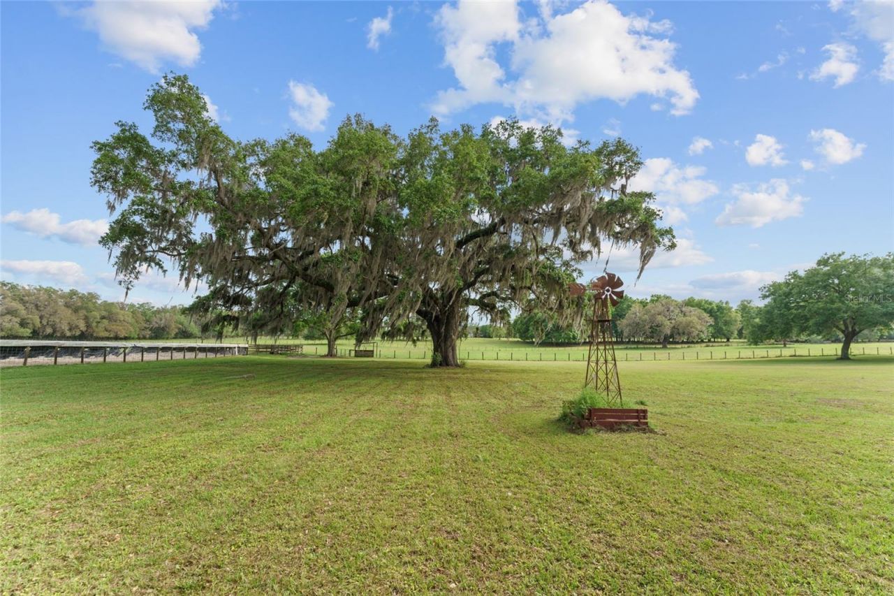 3149 SW 200th Avenue, Dunnellon, FL 34431 Photo