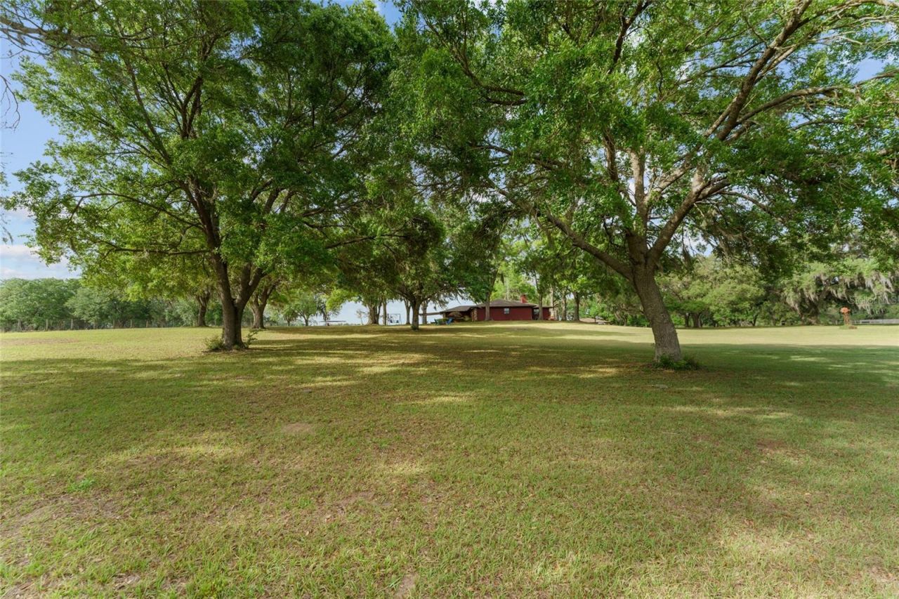 3149 SW 200th Avenue, Dunnellon, FL 34431 Photo