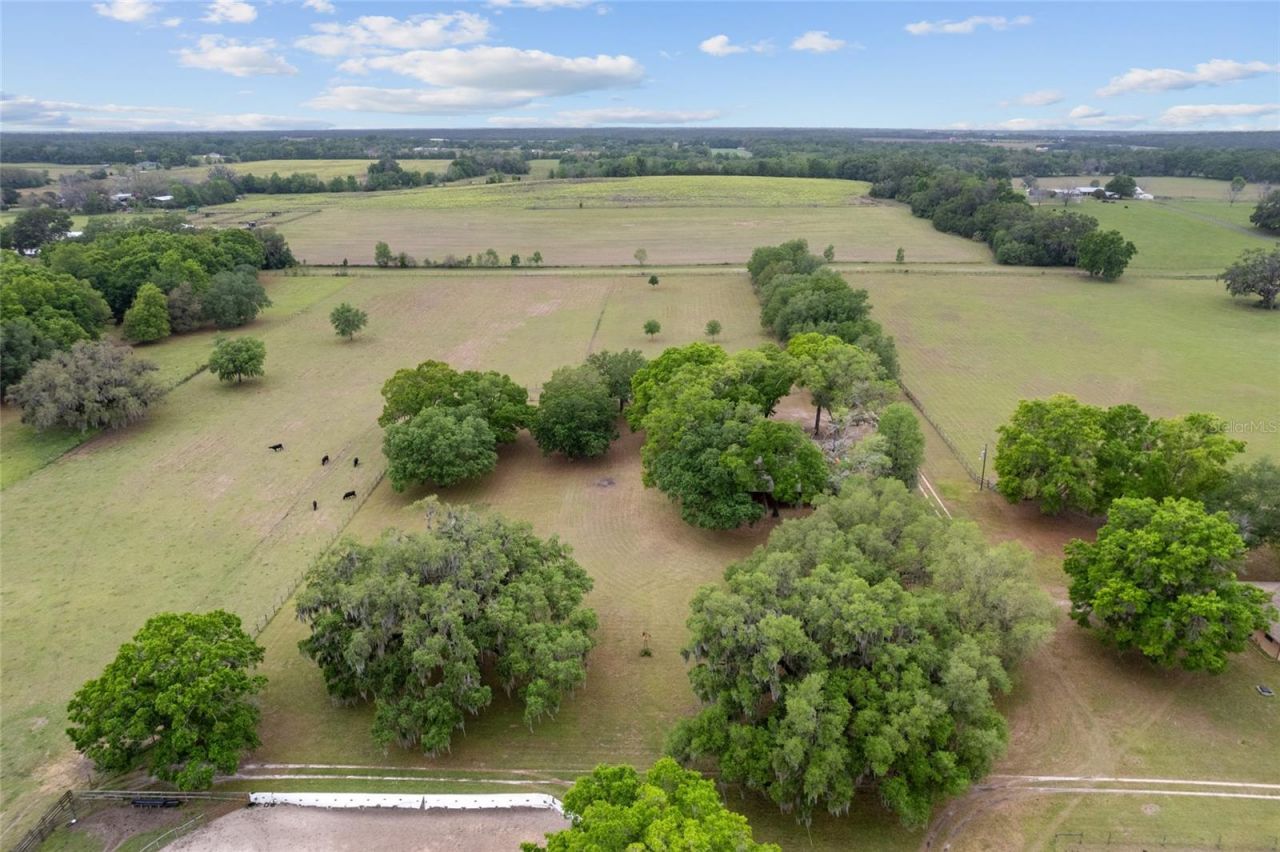 3149 SW 200th Avenue, Dunnellon, FL 34431 Photo