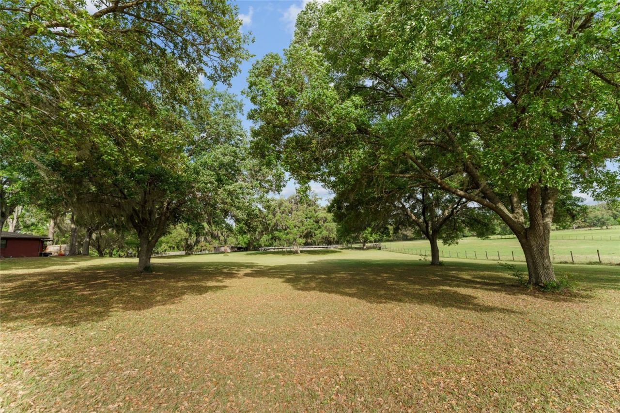 3149 SW 200th Avenue, Dunnellon, FL 34431 Photo