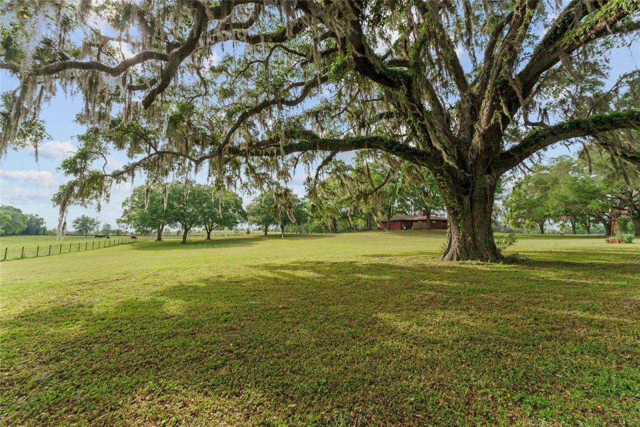 3149 SW 200th Avenue, Dunnellon, FL 34431 Photo