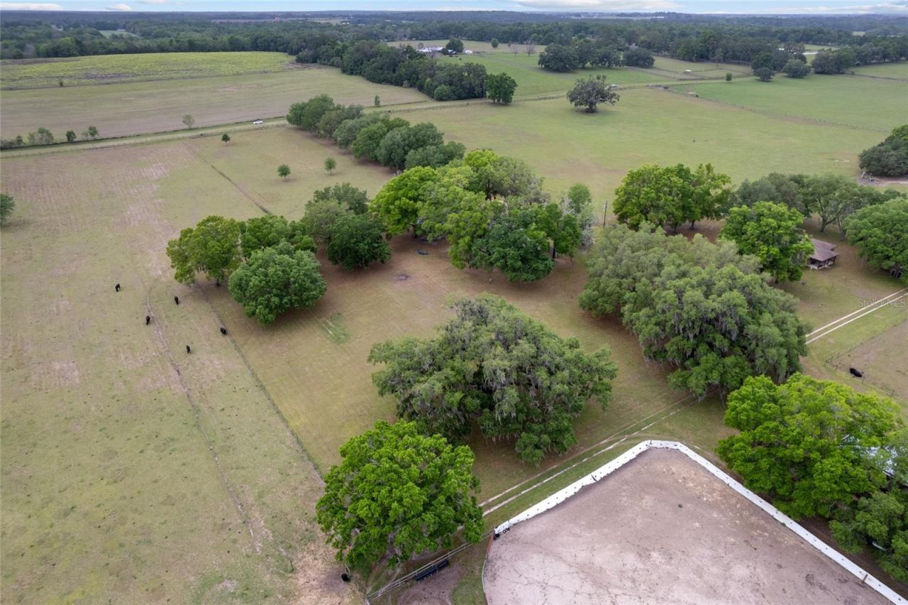 3149 SW 200th Avenue, Dunnellon, FL 34431 Photo