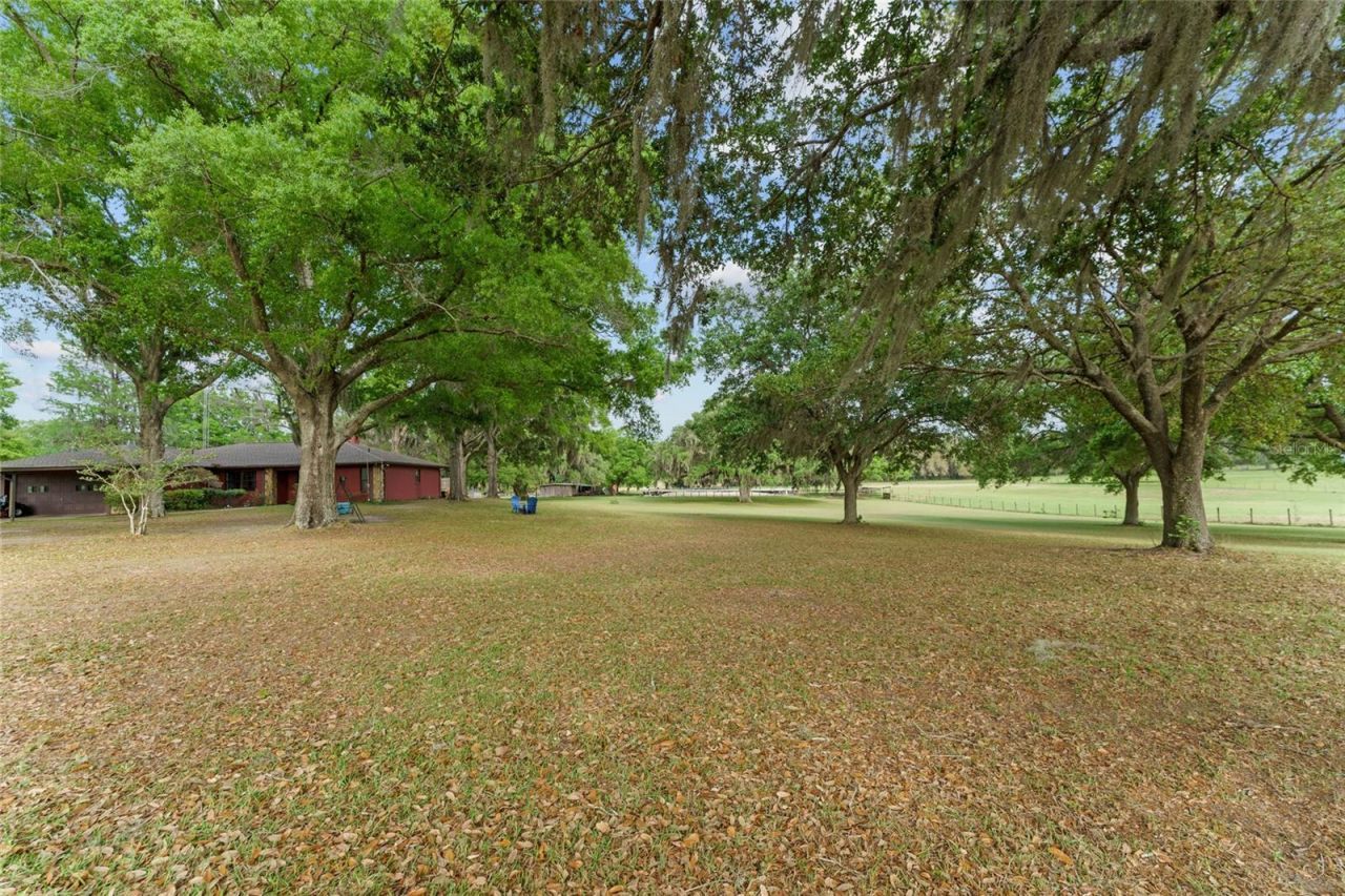 3149 SW 200th Avenue, Dunnellon, FL 34431 Photo