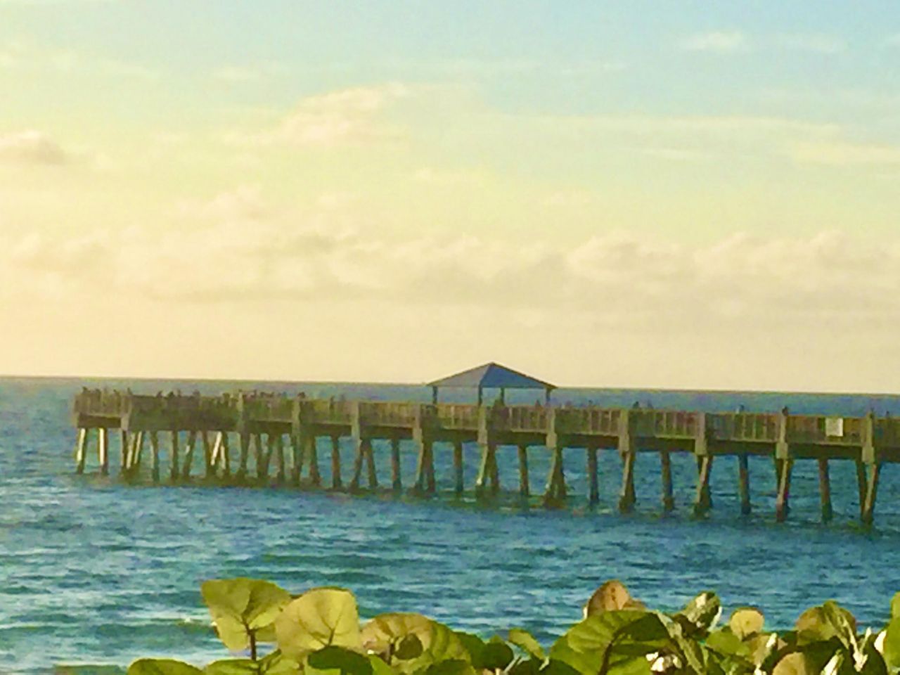 107 Mulligan Place, Jupiter, FL 33458 Photo