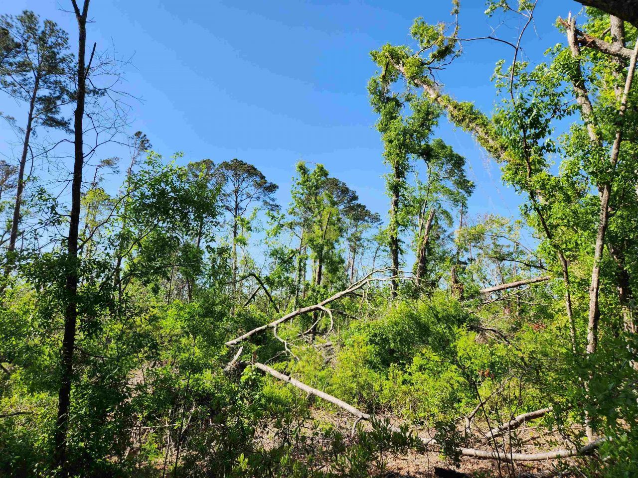 Lot 14 NW Champion Oak Boulevard, Jennings, FL 00000 Photo