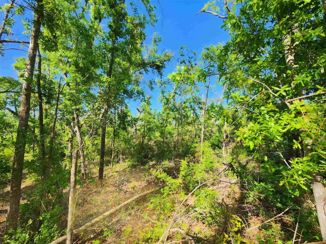 Lot 14 NW Champion Oak Boulevard, Jennings, FL 00000 Photo