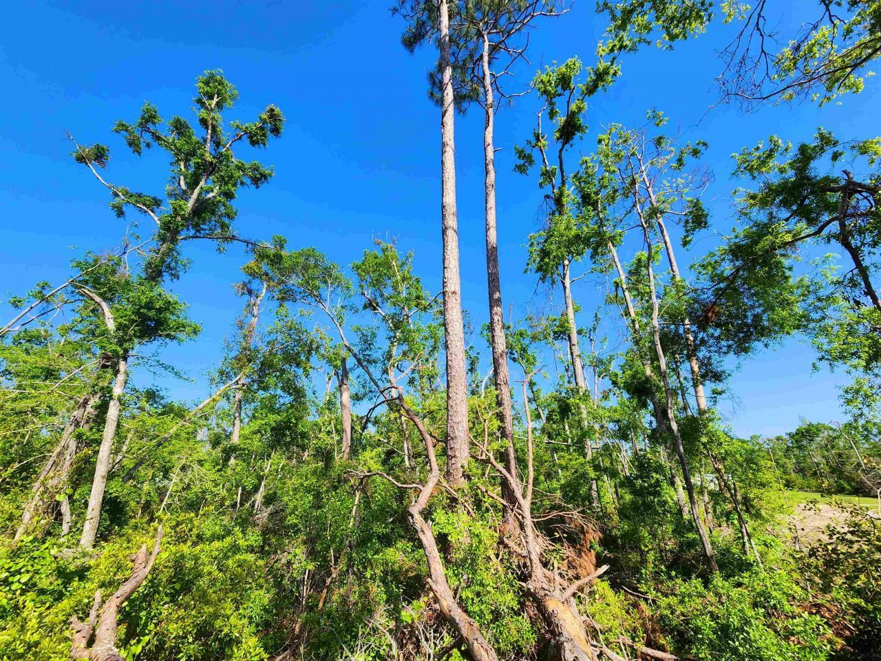 Lot 14 NW Champion Oak Boulevard, Jennings, FL 00000 Photo