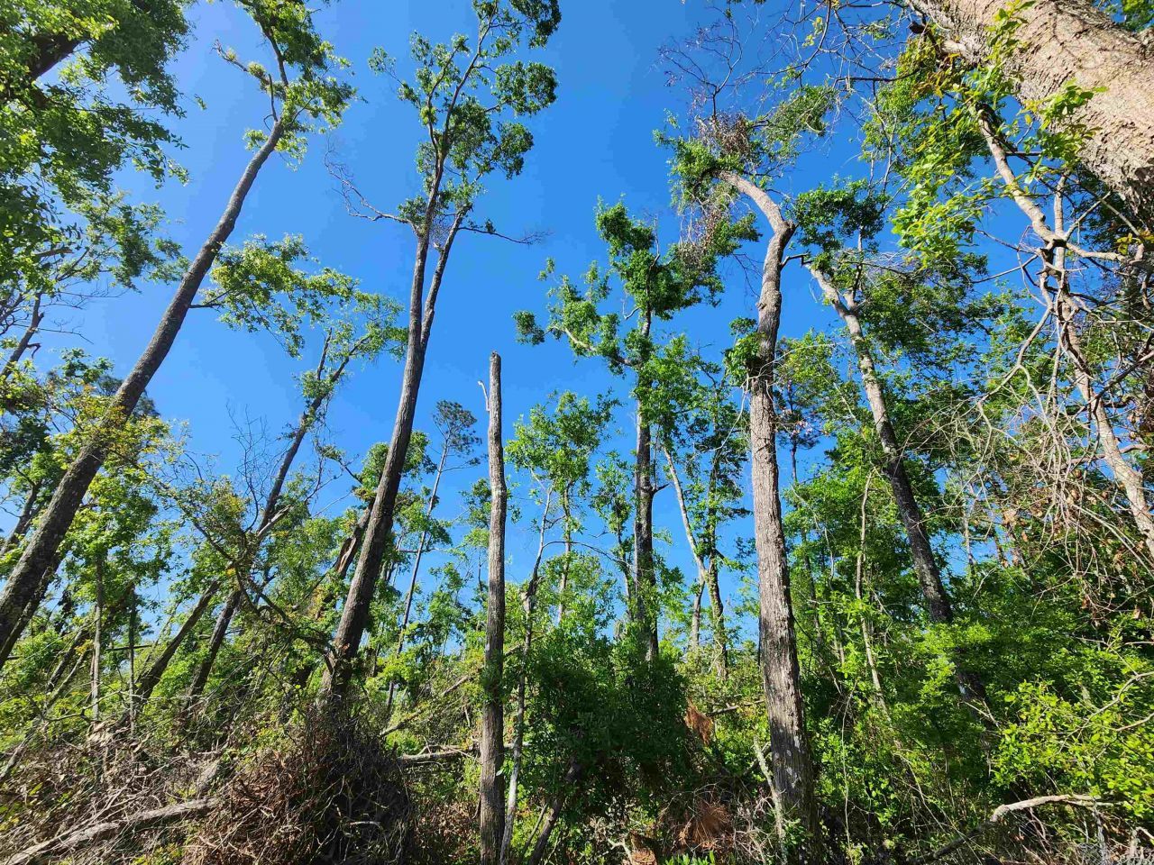Lot 14 NW Champion Oak Boulevard, Jennings, FL 00000 Photo
