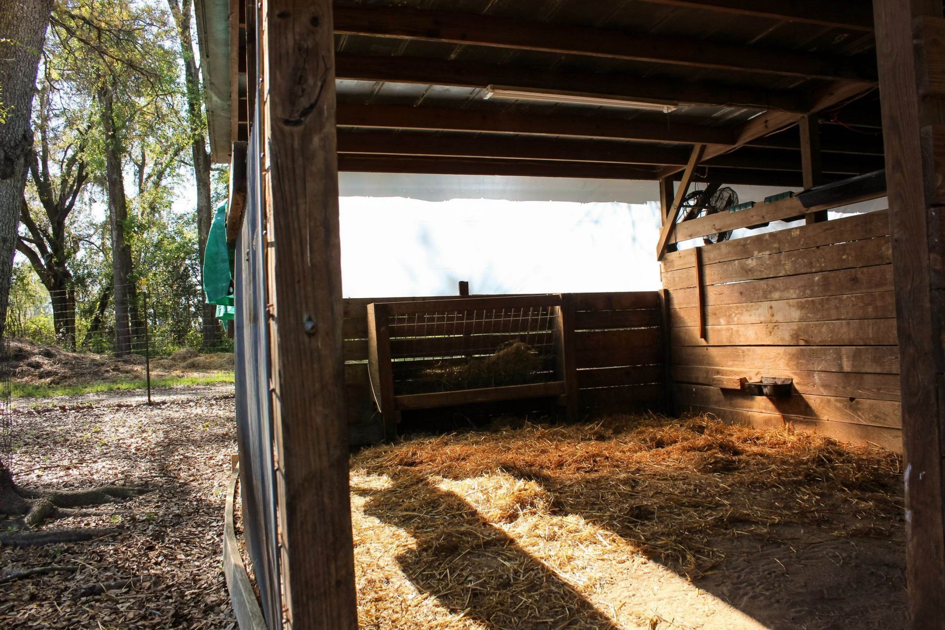 438 NE English Ivy Trail, Pinetta, FL 00000 Photo