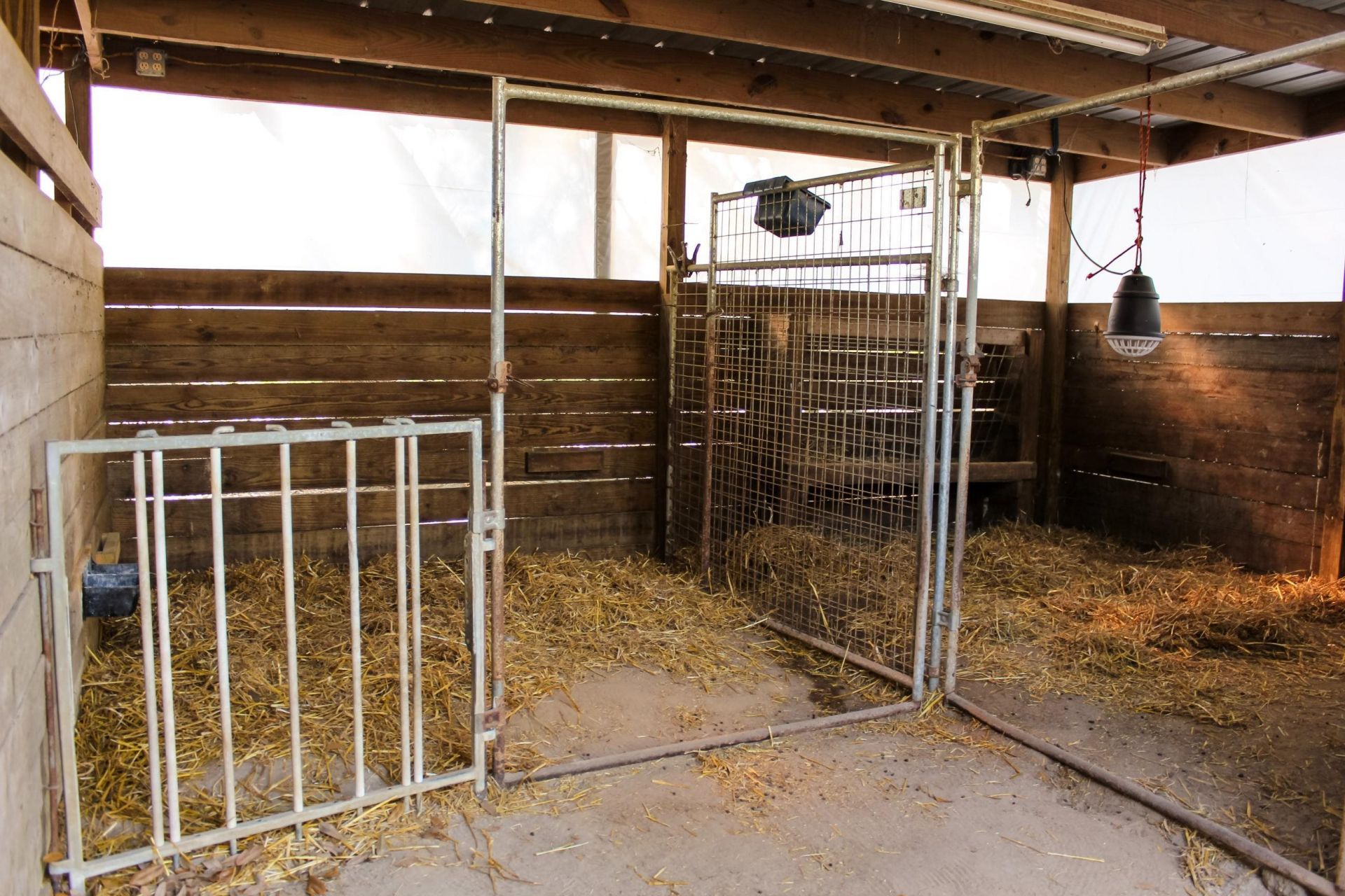 438 NE English Ivy Trail, Pinetta, FL 00000 Photo