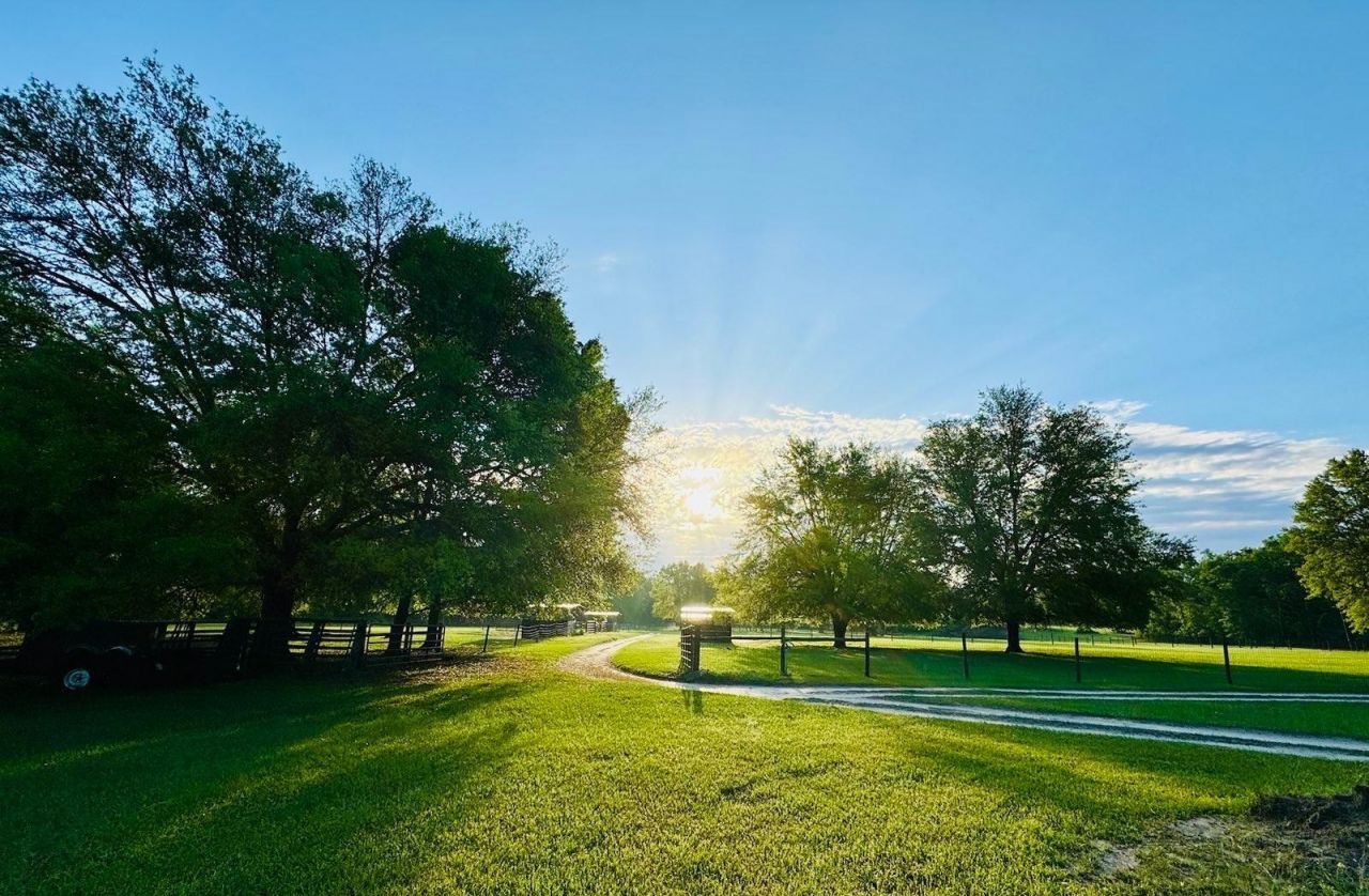 438 NE English Ivy Trail, Pinetta, FL 00000 Photo