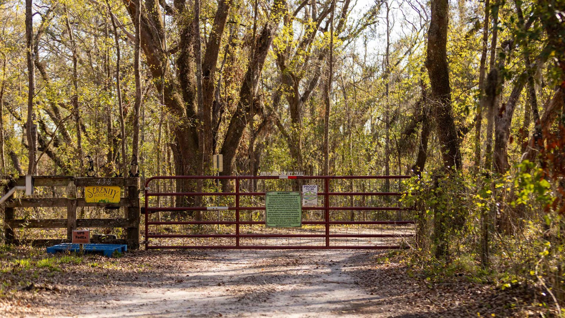 438 NE English Ivy Trail, Pinetta, FL 00000 Photo