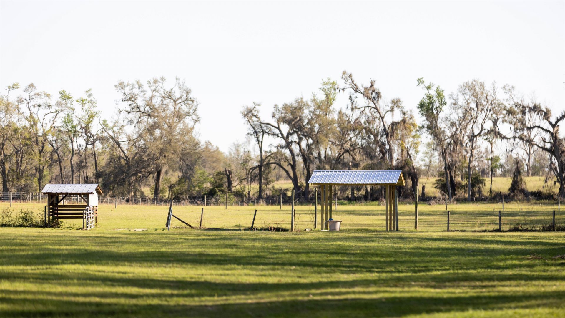 438 NE English Ivy Trail, Pinetta, FL 00000 Photo