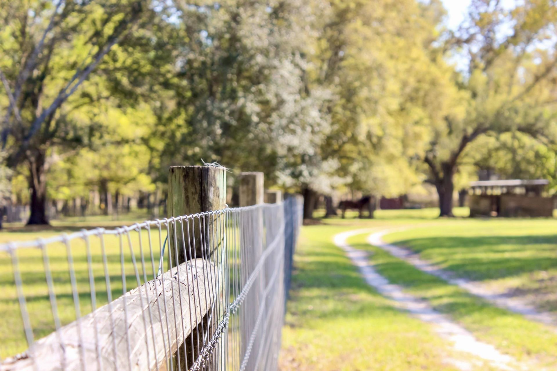 438 NE English Ivy Trail, Pinetta, FL 00000 Photo