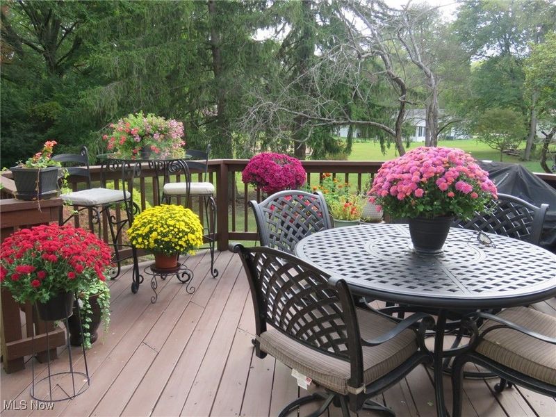 95 Shipherd Circle, Oberlin, OH 44074 Photo 26