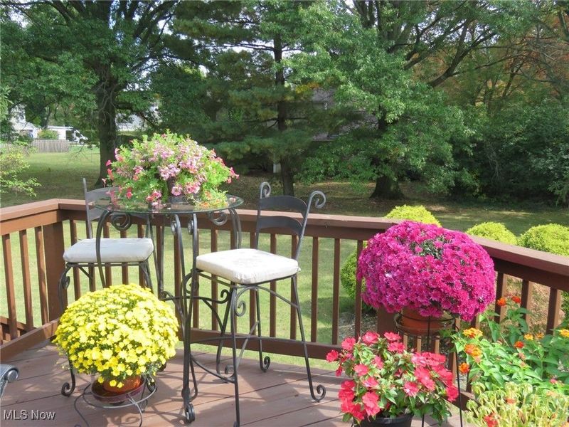 95 Shipherd Circle, Oberlin, OH 44074 Photo 3