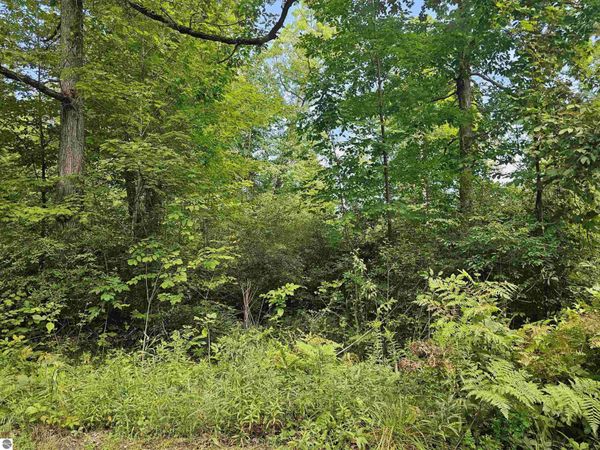 Oak Lane, Hale, MI 48739