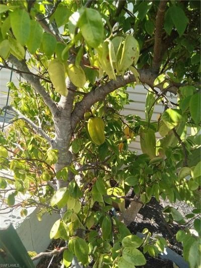 4925 Porky Ln, Saint James City, FL 33956 Photo