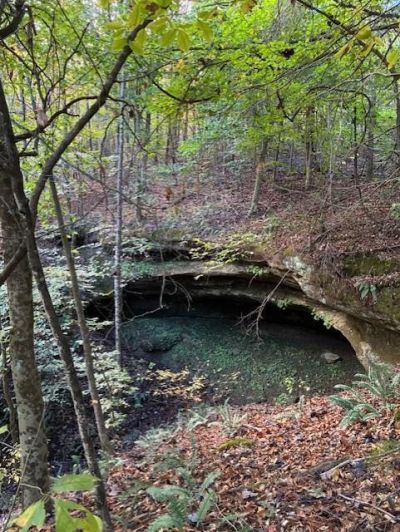 0 County Road 213, Scottown, OH 45678 Main Photo