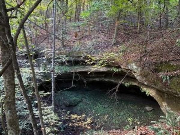 0 County Road 213, Scottown, OH 45678