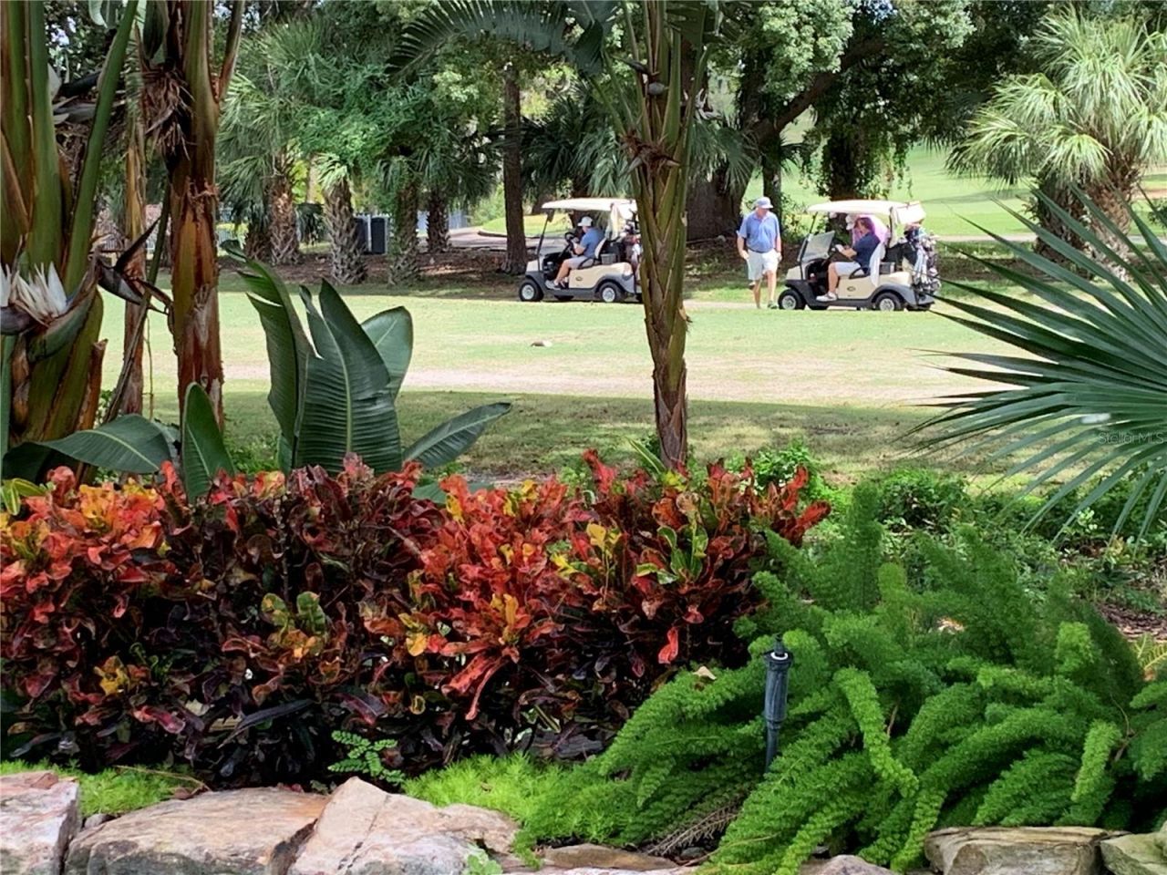 1058 Roundstone Place, Palm Harbor, FL 34683 Photo