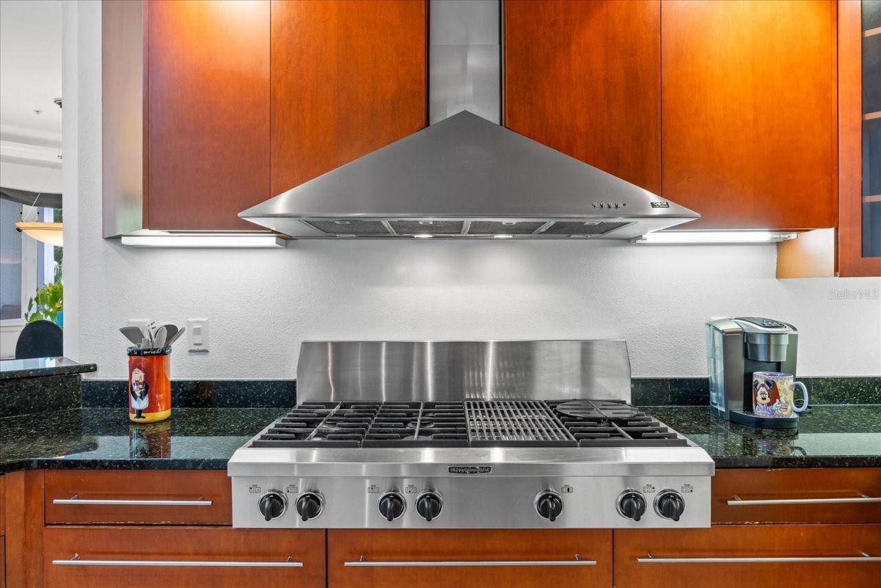 1058 Roundstone Place, Palm Harbor, FL 34683 Photo