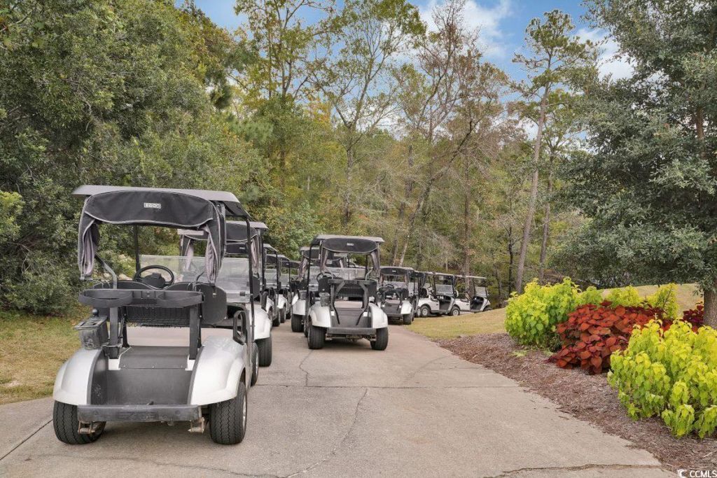 985 Cherrystone Loop Photo 28