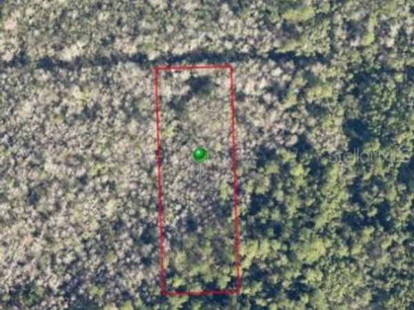 PINE STREET, PIERSON, FL 32180