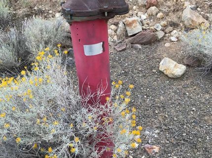 00 Western Skies, Reno, NV 89521 Photo