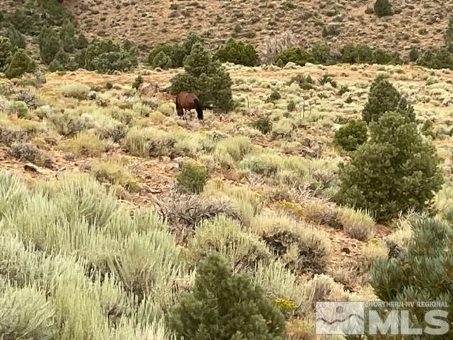 00 Western Skies, Reno, NV 89521 Photo