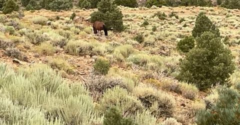 00 Western Skies, Reno, NV 89521 Photo