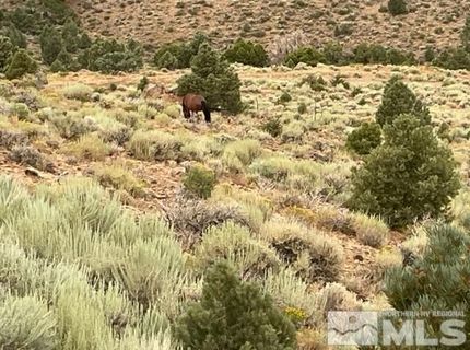 00 Western Skies, Reno, NV 89521 Photo