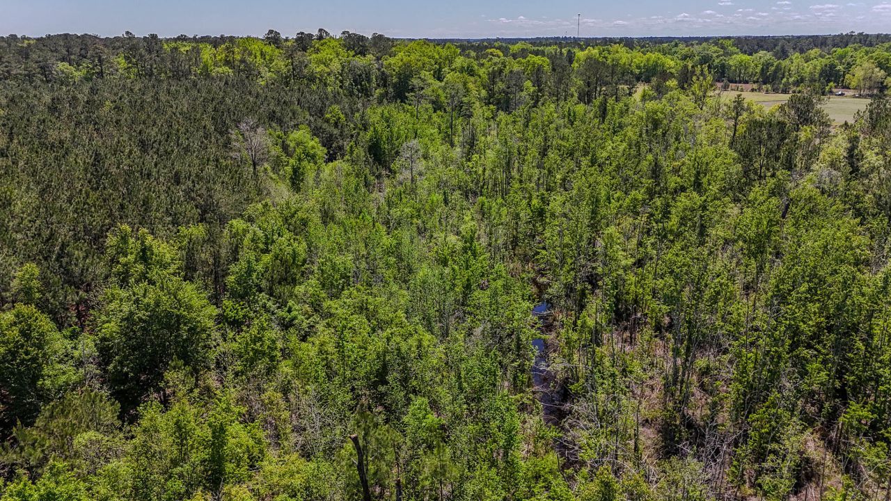 1296 Risher Mountain Road Photo 11