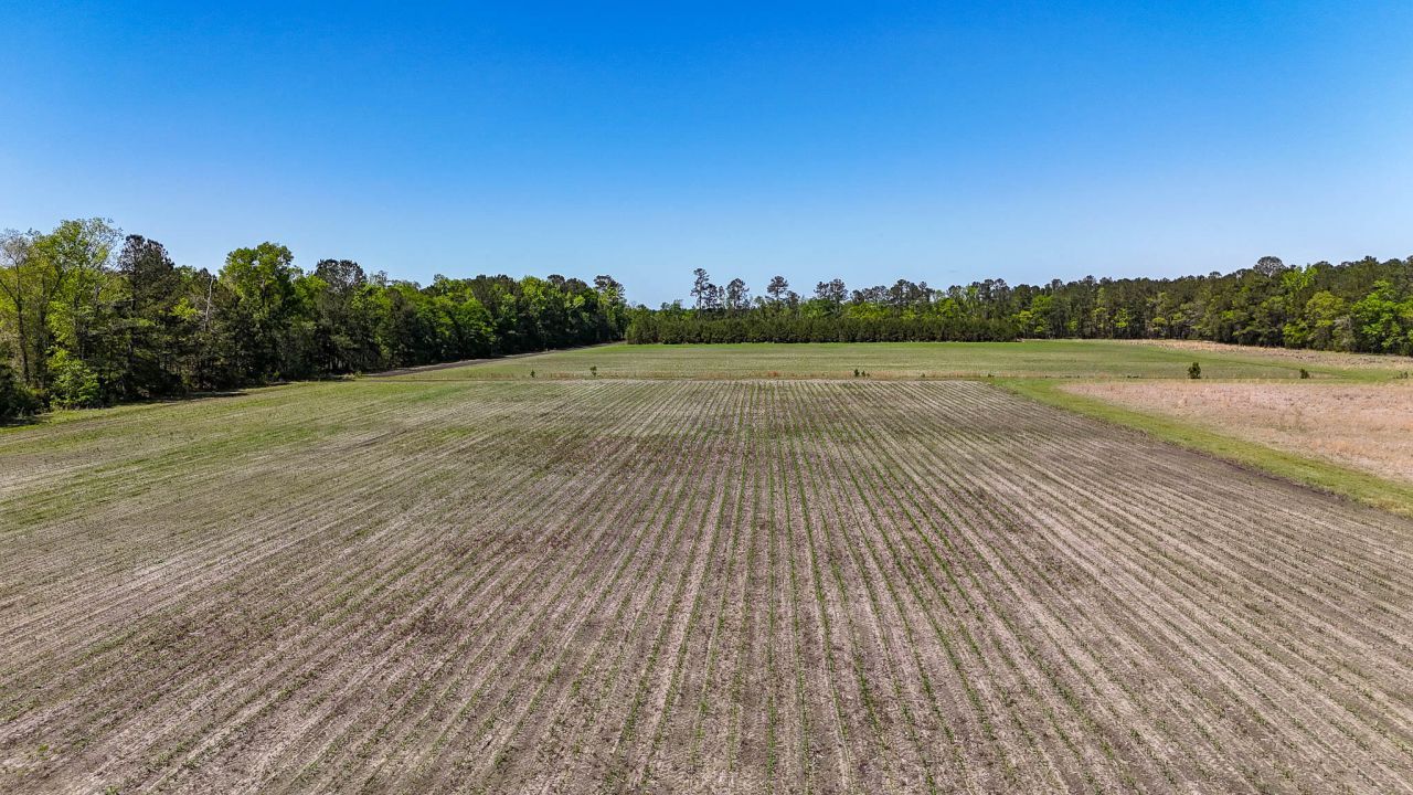 1296 Risher Mountain Road Photo 12