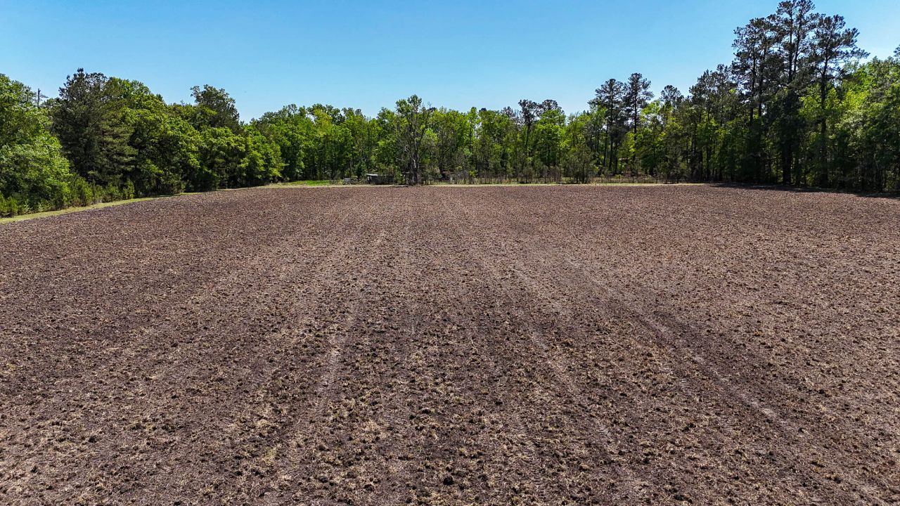 1296 Risher Mountain Road Photo 13