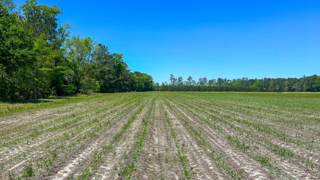 1296 Risher Mountain Road Photo 15