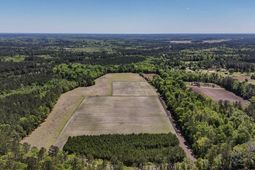 1296 Risher Mountain Road photo 4