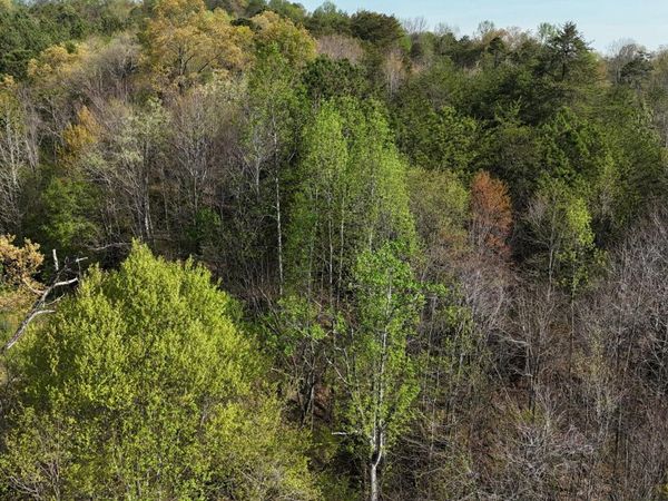 0000 County Road 675, Athens, TN 37303