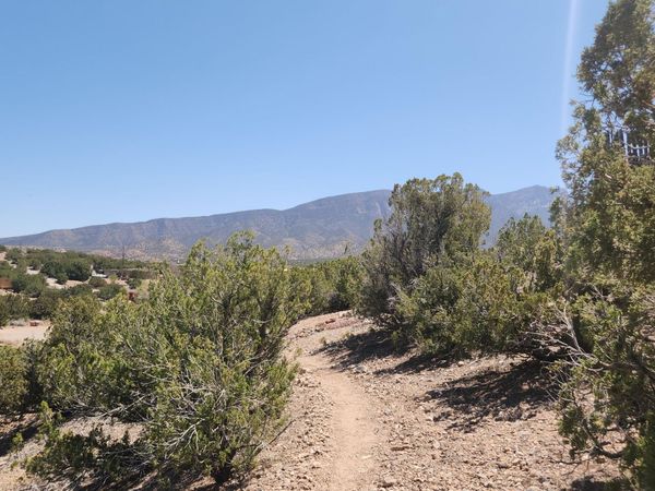 36 RIDGE ROAD, Placitas, NM 87043