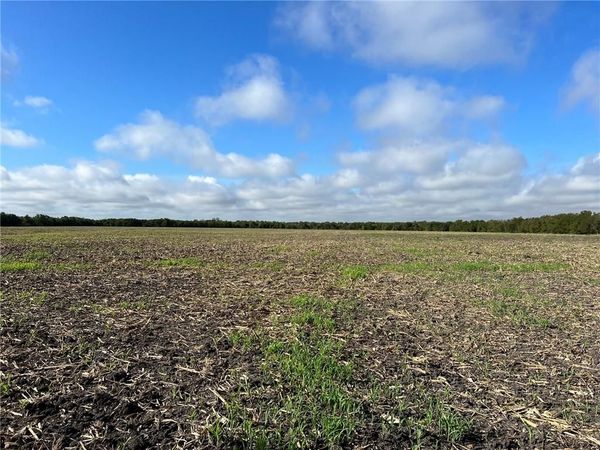 TBD CR 117 Road, Rogers, TX 76569