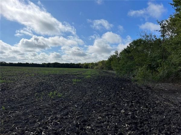 TBD CR 117 Road, Rogers, TX 76569