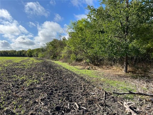 TBD CR 117 Road, Rogers, TX 76569