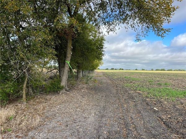 TBD CR 117 Road, Rogers, TX 76569