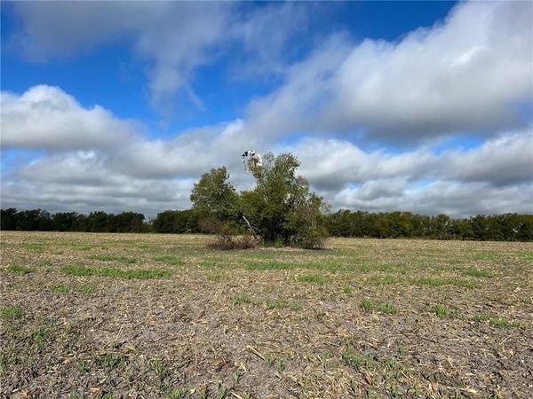 TBD CR 117 Road, Rogers, TX 76569