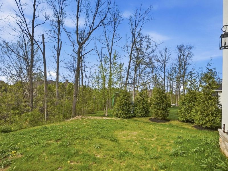 10007 Allen Drive, Dublin, OH 43017 Photo 187