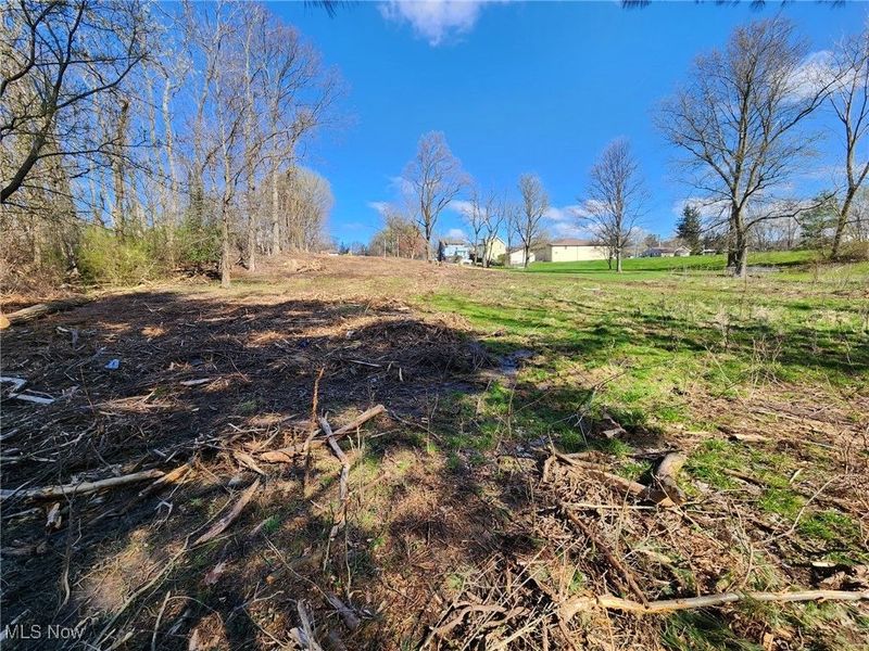 Northeast Avenue, Tallmadge, OH 44278 Photo 11