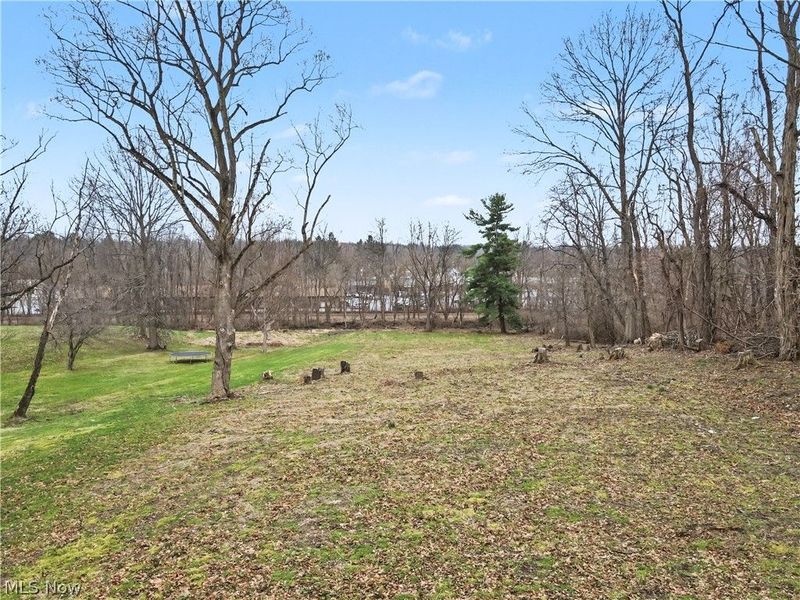 Northeast Avenue, Tallmadge, OH 44278 Photo 16