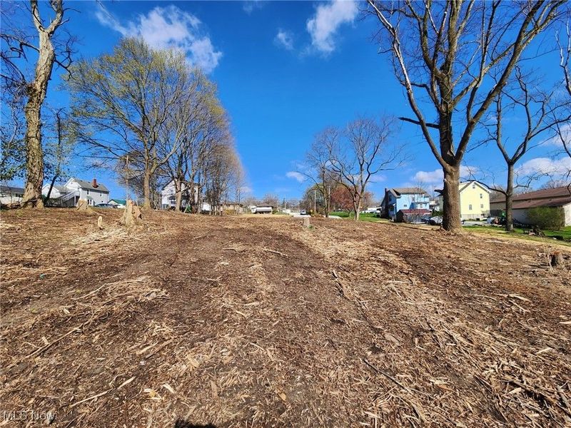 Northeast Avenue, Tallmadge, OH 44278 Photo 6